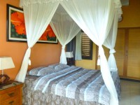 /album/bali-villa-flamboyant/canary-room-flamboyant-villa-jpg/